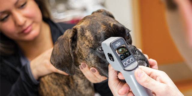 Reichert® Tono-Vera® Vet Handheld Veterinary Tonometer